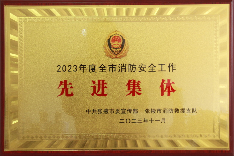 2023年度全市消防安全工作先进集体